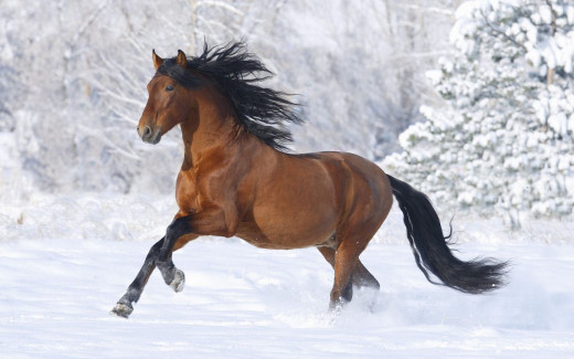 484803 (a): :1440x900